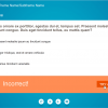 Single Choice Test With Incorrect Answer — eLearning Course Player