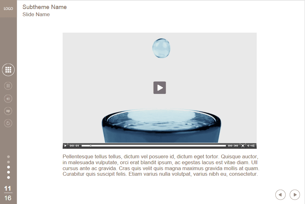 Video Slide — Lectora Course Player Video Slide — Lectora Course Player