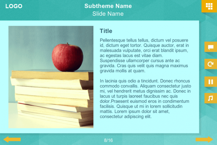 Text / Image Slide — Storyline Course Player