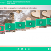 Green Colored Steps — Articulate Storyline Templates for eLearning Courses