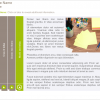 Course Materials — Storyline Templates for eLearning
