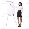 Businesswoman With Papers, Folder And Flipchart Cutout Photo Pack-16254