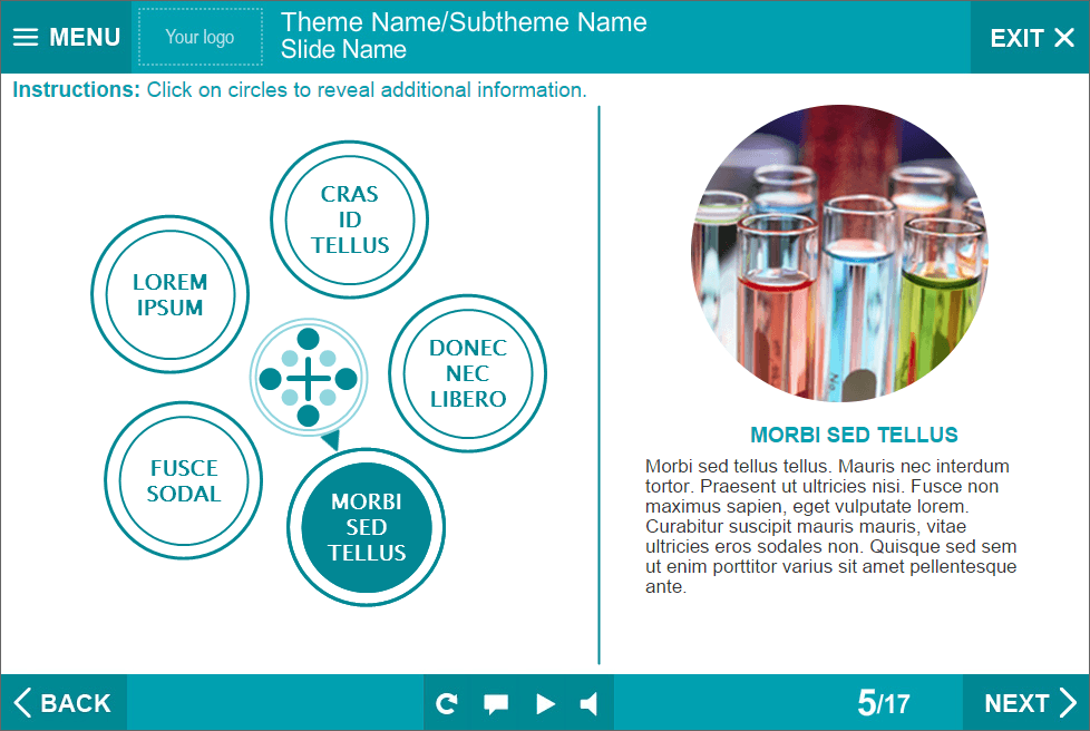 Five Round Buttons — eLearning Lectora Template Five Round Buttons — eLearning Lectora Template