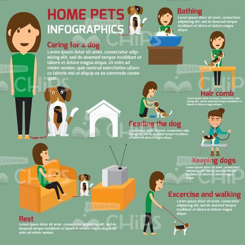 Home Pets Vector Infographics-0