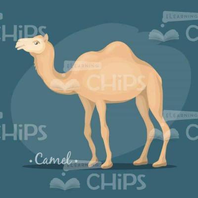 Vector Camel Illustration-0