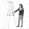 Asian Young Woman With Flipchart, Folder And Papers Cutout Photo Pack-14942