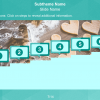 Slide with Steps — Powerful Storyline Template