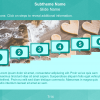 Clickable Steps — Storyline Template Pack