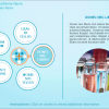 Slide with Buttons — Lectora Interaction