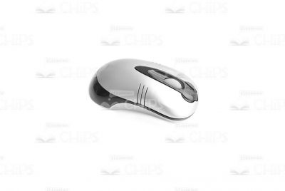 Stock Photo Of Gray Wireless Computer Mouse-0