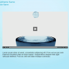 Page with Video — Download Lectora Course Player