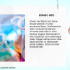 Text and Image Slide — Storyline Templates for eLearning