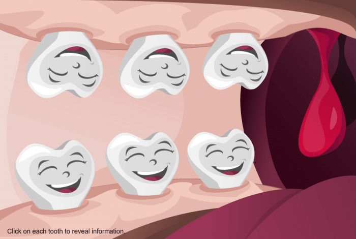 Visiting Dentist — Storyline Templates for eLearning Courses