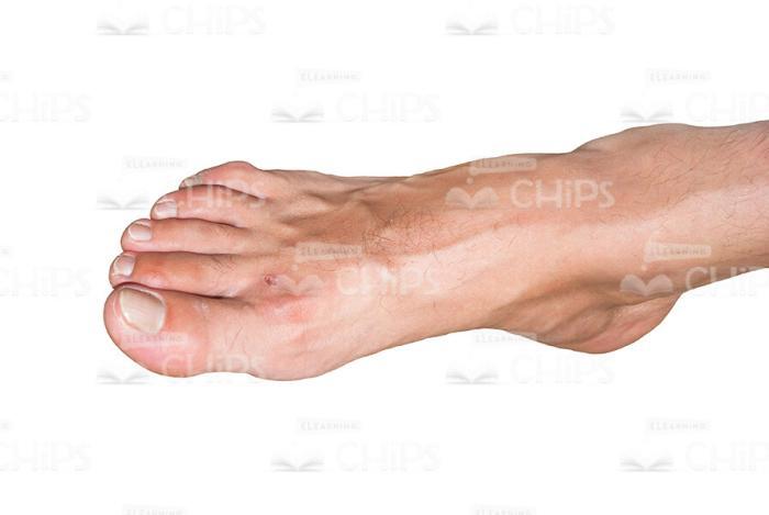 Human Foot Stock Picture-0