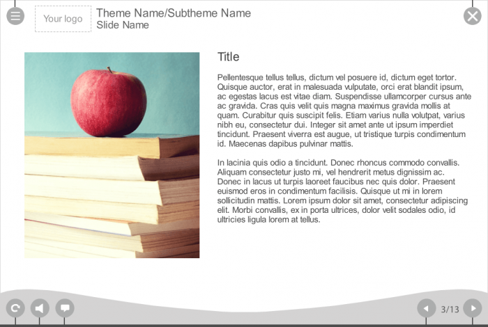 Text + Image Slide — Storyline eLearning Template