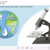 Drag and Drop Interaction — Storyline Templates for eLearning