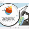 Course Information — eLearning Storyline Template