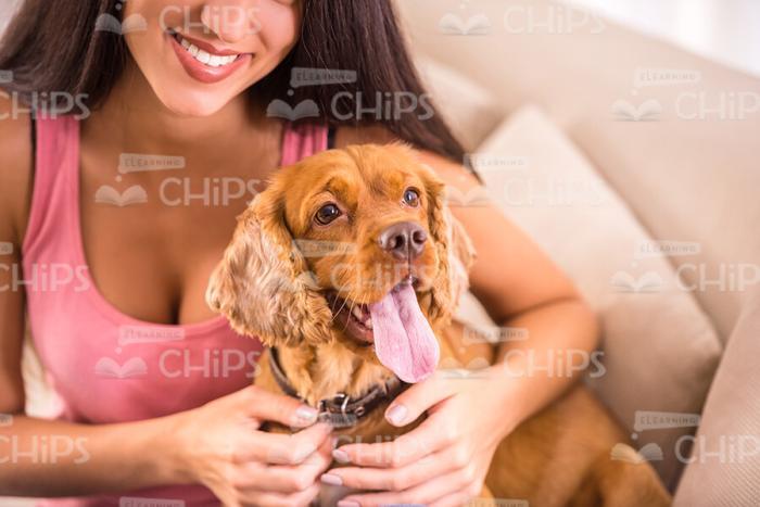 Woman With Her Little Puppy Stock Photo
