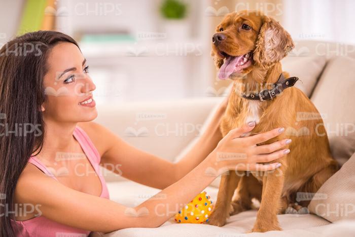 Woman Trying To Play With Her Dog Stock Photo