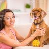 Young Woman Playing With Her Dog Stock Photo