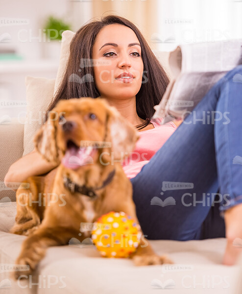 Woman And Dog Lying On Sofa Stock Photo