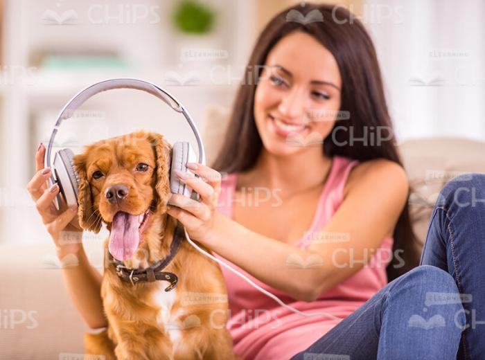 Woman Wearing Headphones On Her Dog Stock Photo