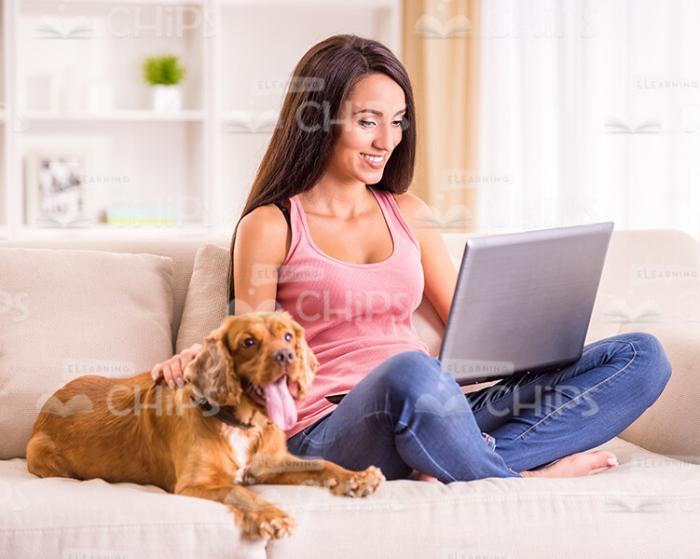 Woman Working On Laptop While Dog Lying Next To Her Stock Photo