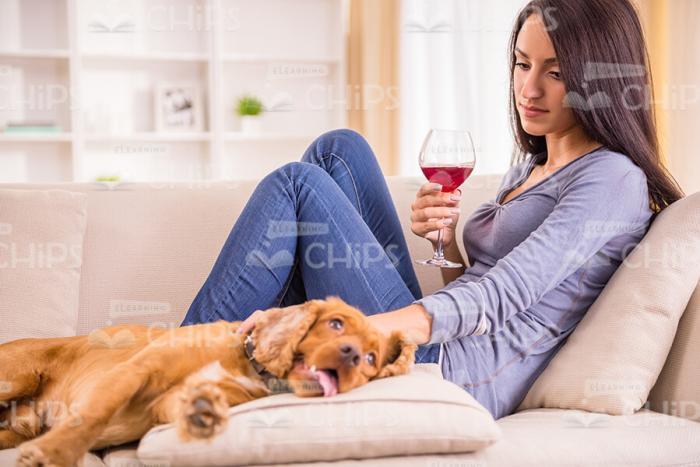 Lady Holding Glass Of Wine And Petting Dog Stock Photo