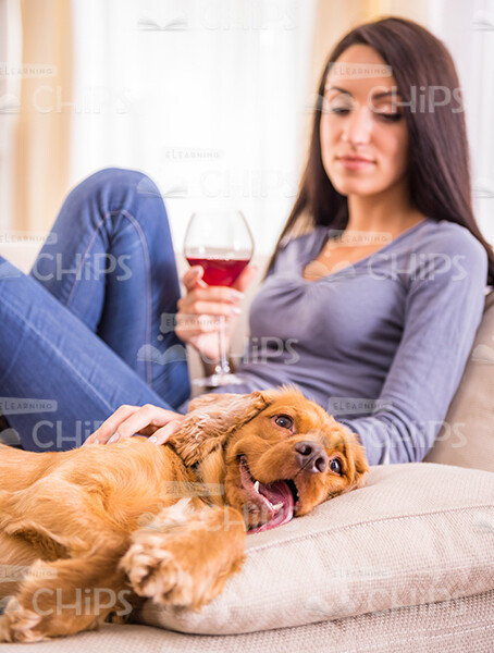 Woman Drinking Wine And Petting Puppy Stock Photo