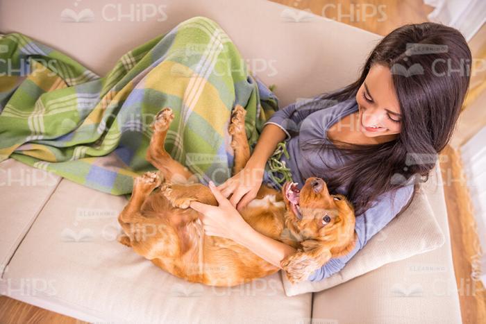 Woman Hugging Puppy Stock Photo