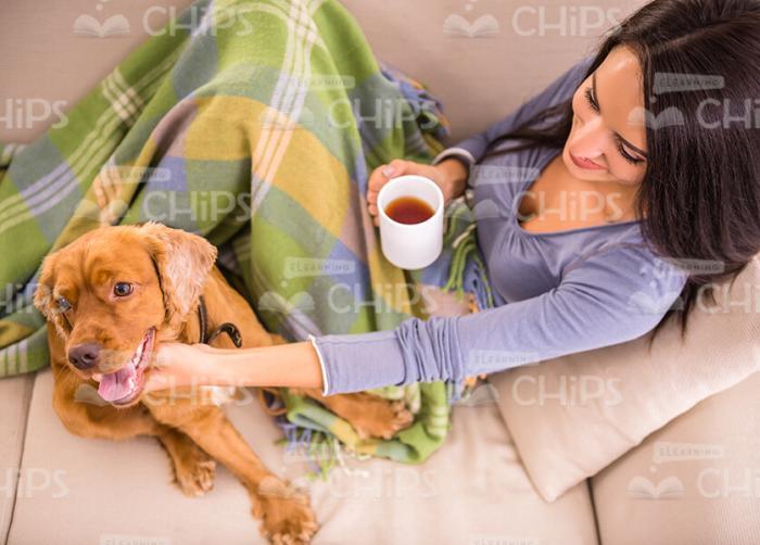Woman With Cup Plays With Puppy Stock Photo
