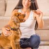 Happy Woman Giving Cookie To Her Puppy Stock Photo