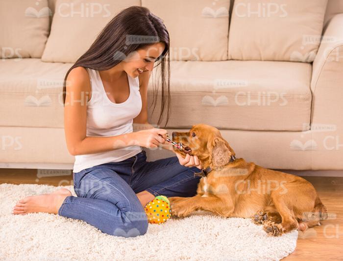 Young Woman Playing With Puppy Stock Photo