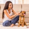 Smiling Girl Playing With Puppy Stock Photo
