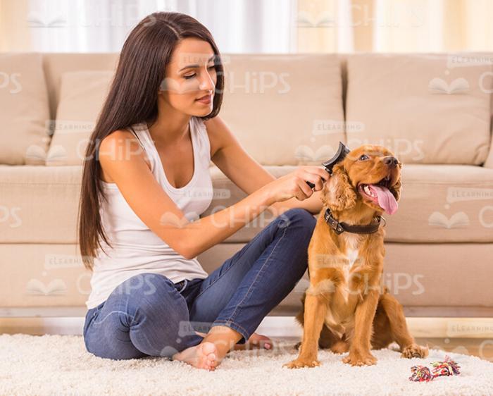 Smiling Girl Playing With Puppy Stock Photo
