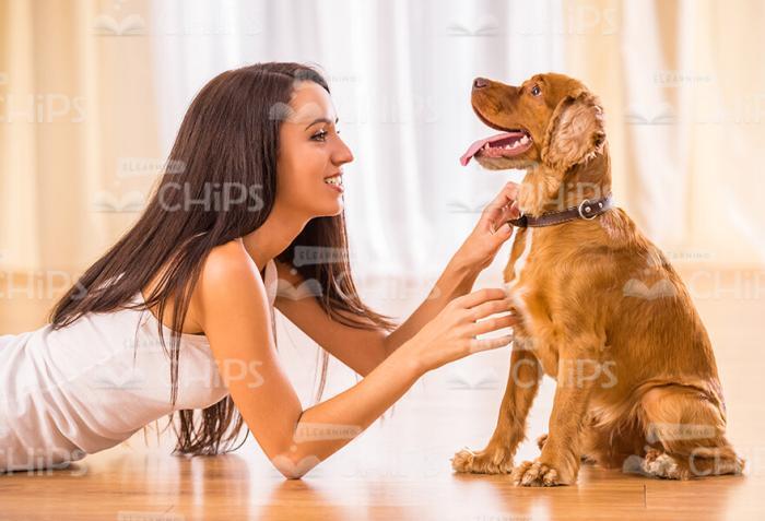 Smiling Woman Playing With Dog Profile View Stock Photo