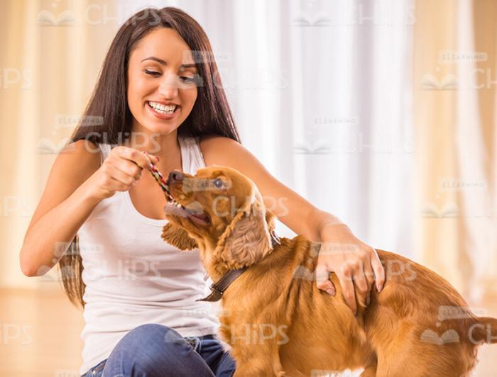 Woman Playing With Dog Stock Image
