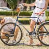 Young Man Repairing Her Girlfriend's Bike Stock Photo