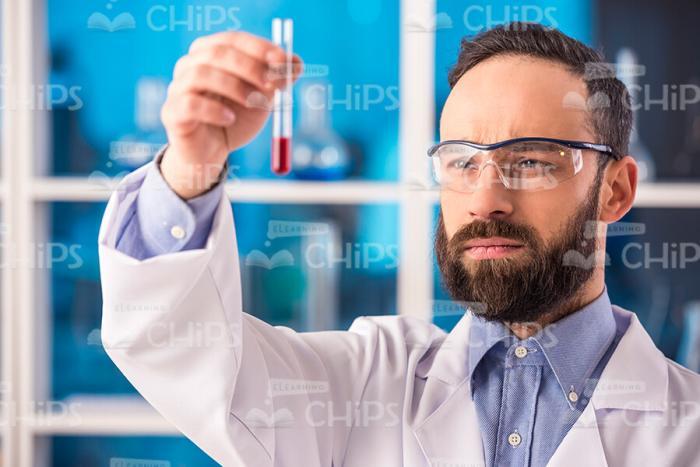 Researcher Holds Test Tube Stock Photo
