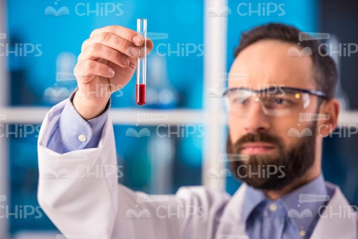 Close Up Stock Photo Of Bearded Researcher Holding Test Tube