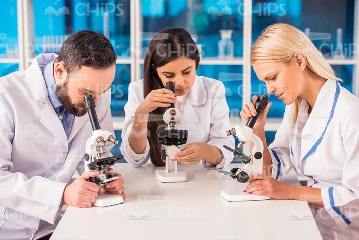 Chemists Conducting Research Stock Photo