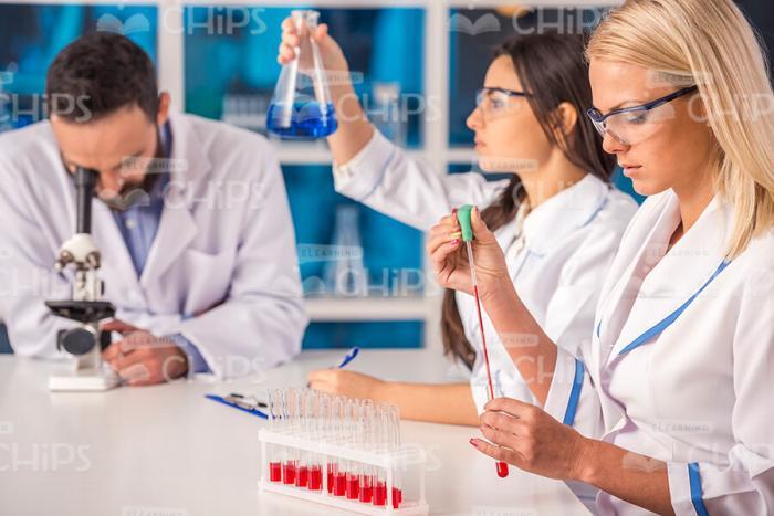 Scientists Conducts Research Stock Photo