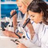 Women Using Microscopes Stock Photo