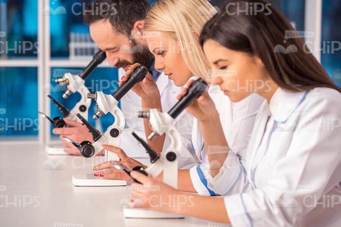 Scientists Looking Through Microscopes Stock Photo