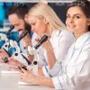 People Working On Lab Research Stock Photo