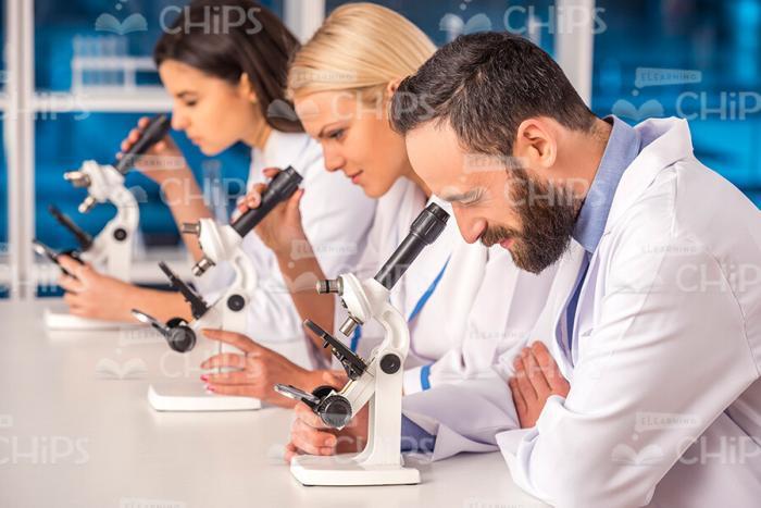 Chemists Using Microscopes Stock Photo