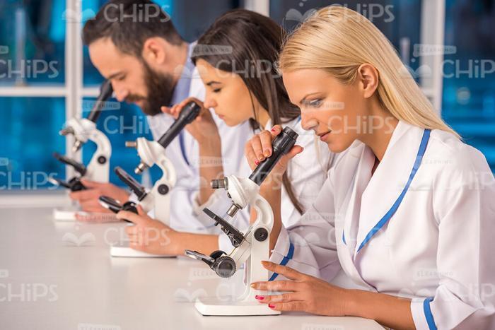 Group Of Scientists Working With Simple Microscopes Stock Photo