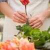 Woman's Hands Hold Flower Stock Photo
