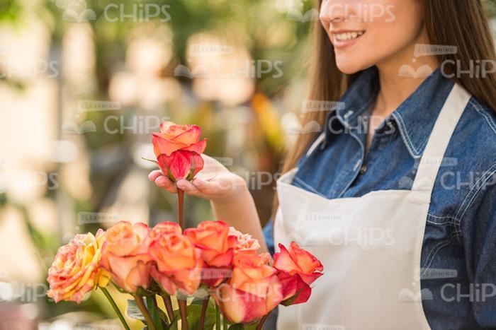 Nice Woman Pulls Out Flower From The Bouquet Stock Photo
