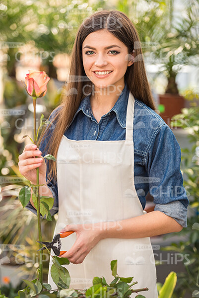 Smiling Woman In Gardener's Apron Holds Flower Stock Photo